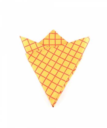 Нагрудный платок желтый в красную клетку из хлопка Baboon